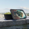 Parrotfish Aquatic Design Eco-Friendly Bento Box with Band and Utensils