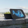 Ethereal Dolphin Design Eco-Friendly Bento Box with Band and Utensils