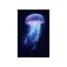 Ethereal Jellyfish Premium Matte Vertical Poster 20" x 30" Poster