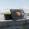 Chimpanzee Portrait Eco-Friendly Bento Box with Band and Utensils
