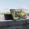 Wicked Goblin Eco-Friendly Bento Box with Band and Utensils