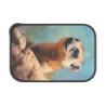 Rock Hyrax Portrait Eco-Friendly Bento Box with Band and Utensils