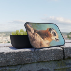 Rock Hyrax Portrait Eco-Friendly Bento Box with Band and Utensils