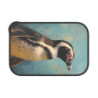 African Penguin Portrait Eco-Friendly Bento Box with Band and Utensils