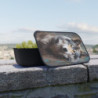 Gray Wolf Portrait Eco-Friendly Bento Box with Band and Utensils