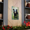 Black Bear Portrait Premium Matte Vertical Poster 20" x 30" Poster