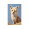 Kit Fox Portrait Premium Matte Vertical Poster 20" x 30" Poster