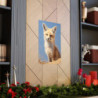 Kit Fox Portrait Premium Matte Vertical Poster 20" x 30" Poster