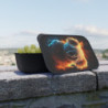 Fiery Koala Eco-Friendly Bento Box with Band and Utensils