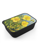 Flowers and flora eco friendly bento boxes
